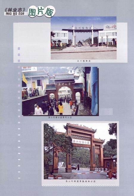 《永川市林业志(1986-2006)》.pdf电子版_重庆市志预览图2