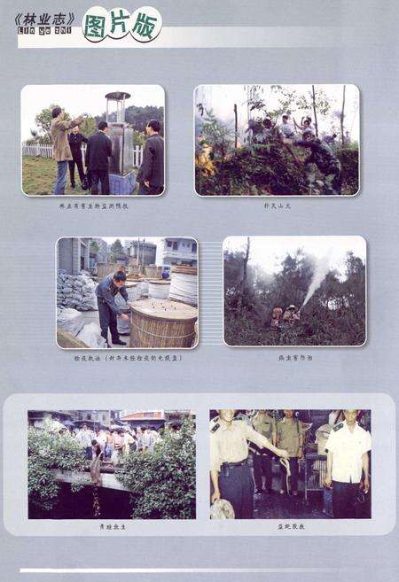 《永川市林业志(1986-2006)》.pdf电子版_重庆市志预览图4