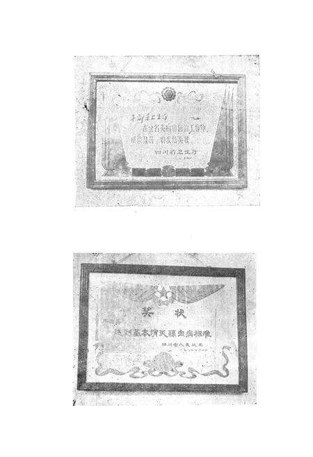 《丰都县卫生志》.pdf电子版_重庆市志预览图5