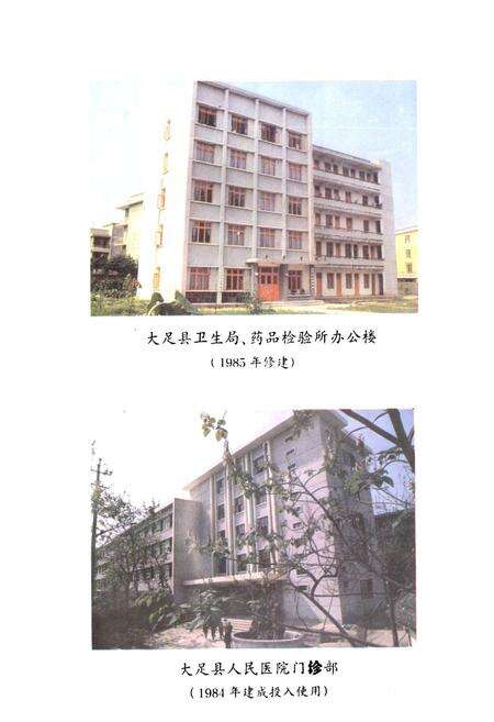 《大足县卫生志》.pdf电子版_重庆市志预览图5