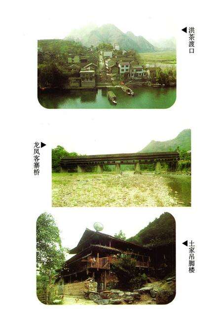 《秀山民族志》.pdf电子版_重庆市志预览图5