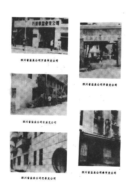 《万县地区盐业志》.pdf电子版_重庆市志预览图4