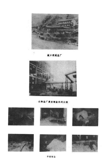 《万县地区盐业志》.pdf电子版_重庆市志预览图5