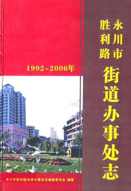 《永川市胜利路街道办事处志(1992~2006年)》.pdf电子版_重庆市志缩略图