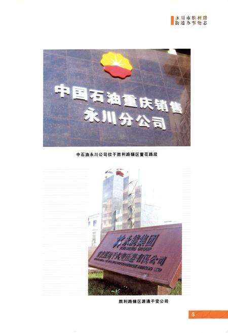 《永川市胜利路街道办事处志(1992~2006年)》.pdf电子版_重庆市志预览图5