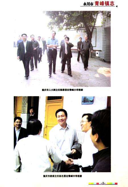 《永川市青峰镇志》.pdf电子版_重庆市志预览图3