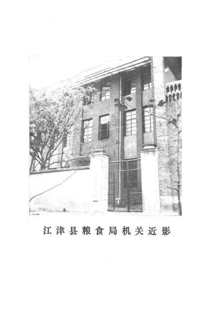 《江津县粮食志1911-1981》.pdf电子版_重庆市志预览图3