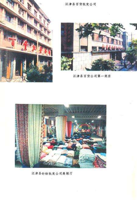 《江津县商业志》.pdf电子版_重庆市志预览图4