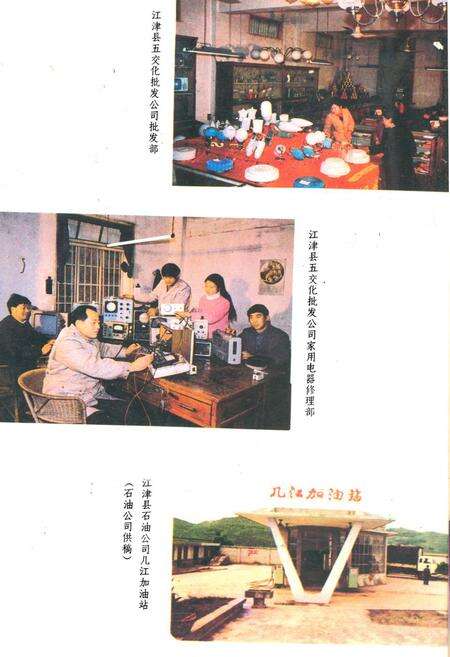 《江津县商业志》.pdf电子版_重庆市志预览图5