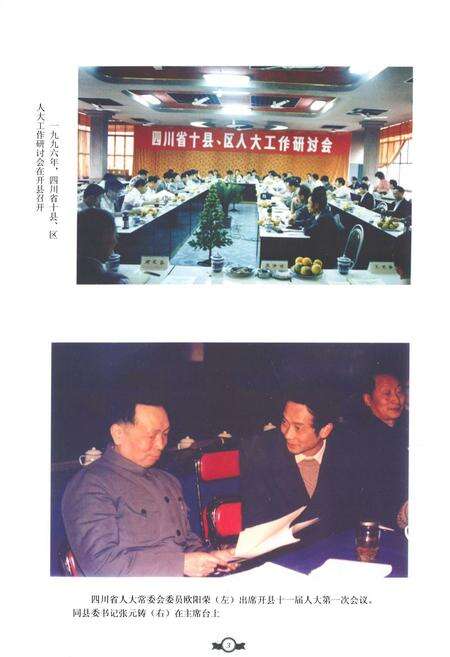 《开县人大志(1987-2006)》.pdf电子版_重庆市志预览图4