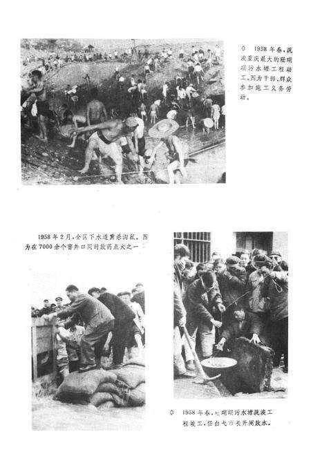 《重庆市市中区卫生志》.pdf电子版_重庆市志预览图4