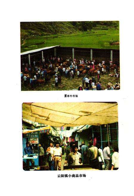 《云阳县工商行政管理志1912-1985》.pdf电子版_重庆市志预览图4