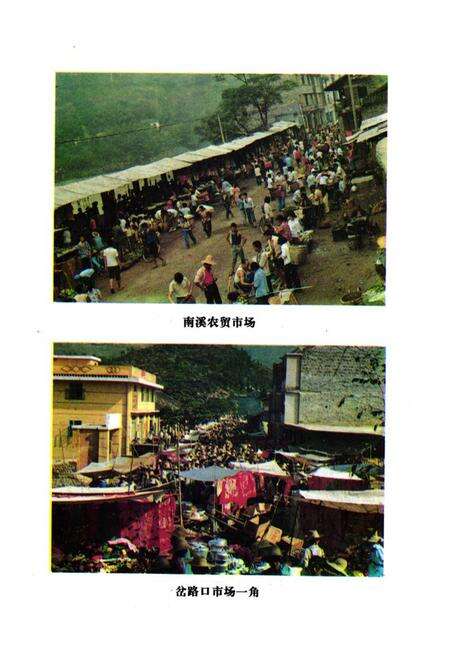 《云阳县工商行政管理志1912-1985》.pdf电子版_重庆市志预览图5