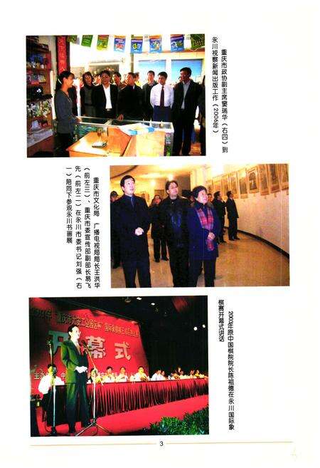 《永川市文化体育广播电视新闻出版志(1989~2006)》.pdf电子版_重庆市志预览图3