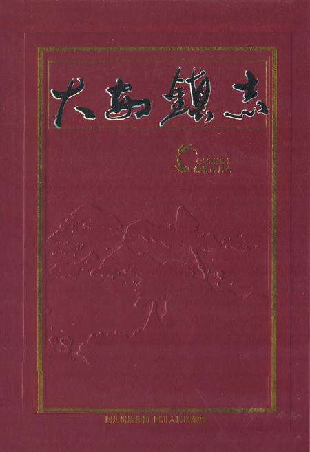 《大安镇志》.pdf电子版_重庆市志缩略图