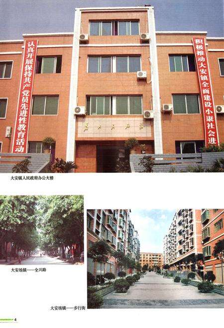 《大安镇志》.pdf电子版_重庆市志预览图5