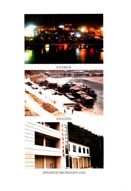 《彭水苗族土家族自治县民族宗教志》.pdf电子版_重庆市志预览图5