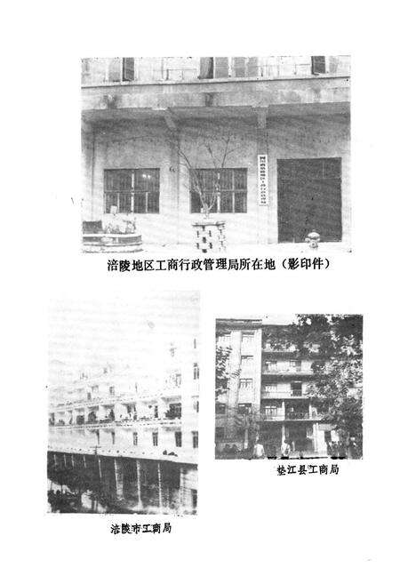 《四川省涪陵地区工商行政管理局志》.pdf电子版_重庆市志预览图4