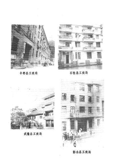 《四川省涪陵地区工商行政管理局志》.pdf电子版_重庆市志预览图5