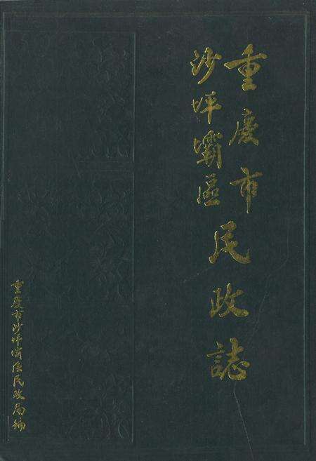 《重庆市沙坪坝区民政志》.pdf电子版_重庆市志缩略图