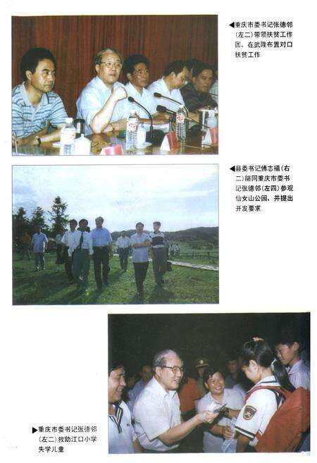 《武隆县志(1986-1995)》.pdf电子版_重庆市志预览图4
