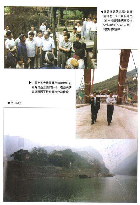 《武隆县志(1986-1995)》.pdf电子版_重庆市志预览图5