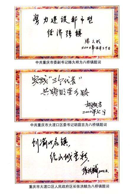 《重庆市大渡口区八桥镇志》.pdf电子版_重庆市志预览图3