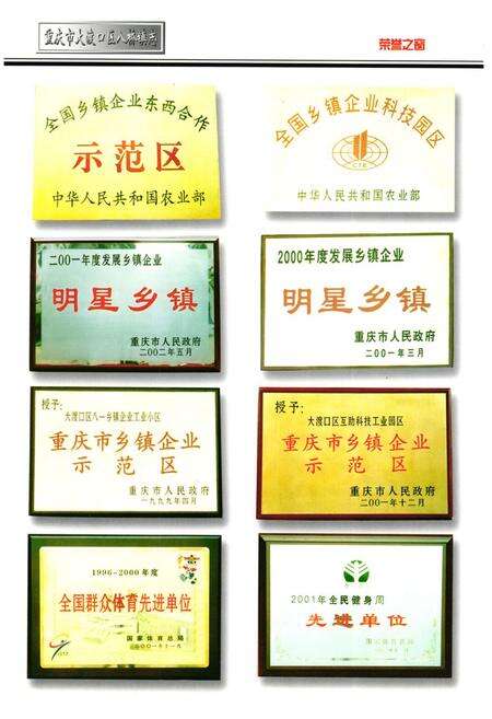 《重庆市大渡口区八桥镇志》.pdf电子版_重庆市志预览图4