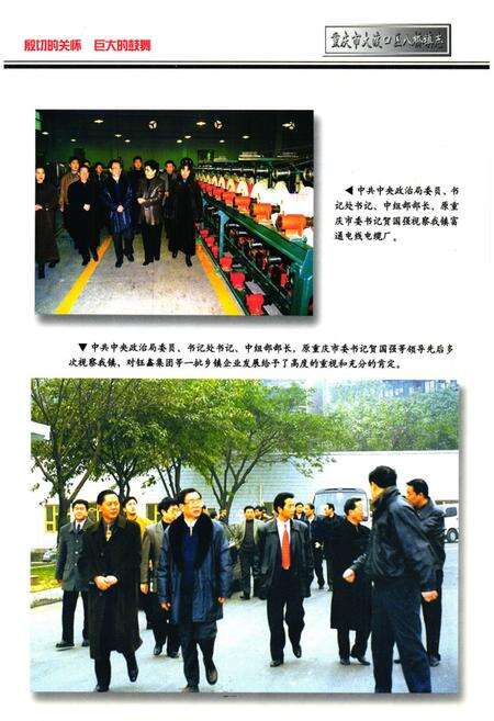 《重庆市大渡口区八桥镇志》.pdf电子版_重庆市志预览图5