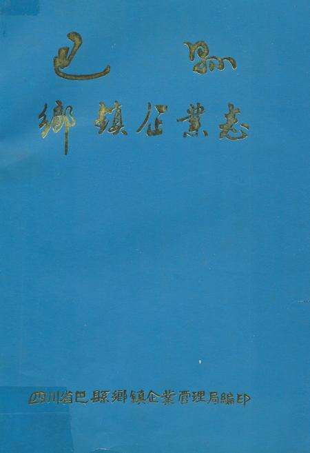 《巴县乡镇企业志》.pdf电子版_重庆市志缩略图