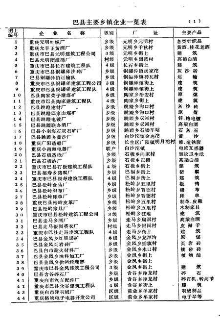 《巴县乡镇企业志》.pdf电子版_重庆市志预览图3
