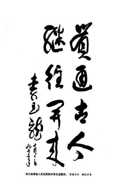 《重庆市沙坪坝区人民法院志》.pdf电子版_重庆市志预览图4