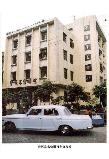 《合川县农村金融志》.pdf电子版_重庆市志预览图2