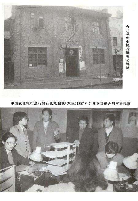 《合川县农村金融志》.pdf电子版_重庆市志预览图3