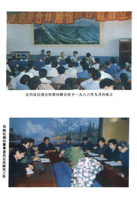 《合川县农村金融志》.pdf电子版_重庆市志预览图4