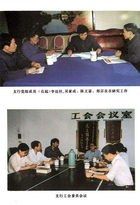 《合川县农村金融志》.pdf电子版_重庆市志预览图5