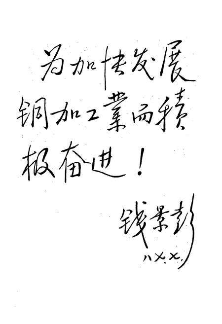 《重庆铜管厂志(1966-1985)》.pdf电子版_重庆市志预览图2