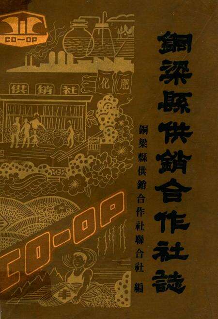 《铜梁县供销合作社志》.pdf电子版_重庆市志缩略图