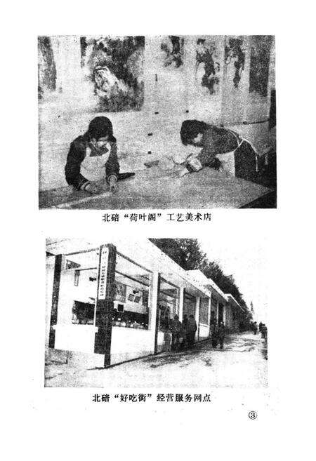 《北碚区劳动志》.pdf电子版_重庆市志预览图5