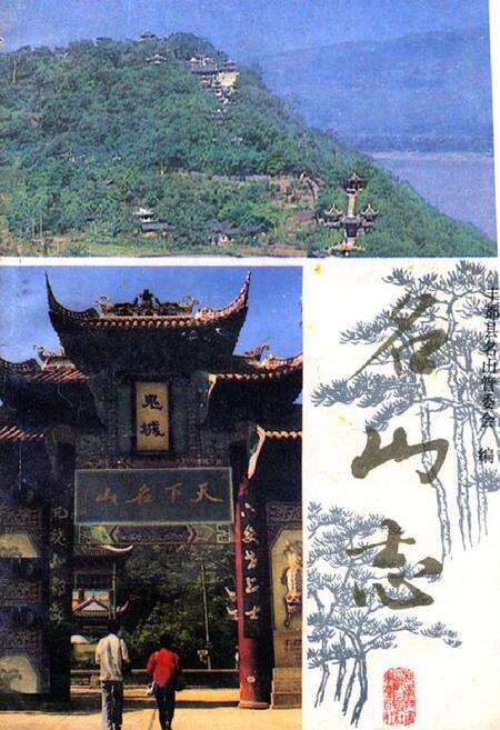 《名山志》.pdf电子版_重庆市志缩略图