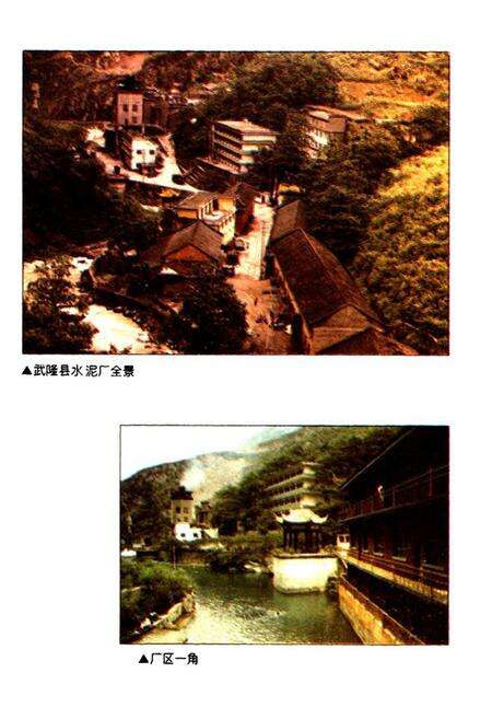 《四川省武隆县水泥厂志》.pdf电子版_重庆市志预览图5