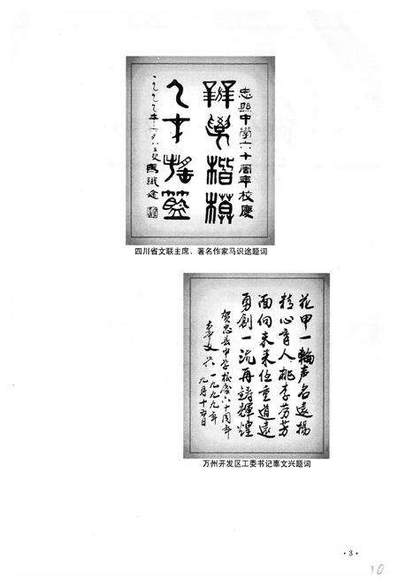 《重庆市忠县中学校志(1939-1999)》.pdf电子版_重庆市志预览图3