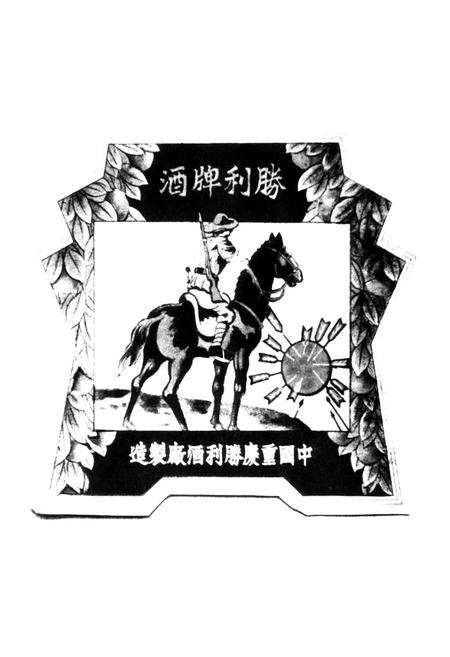 《老重庆影像志 六》.pdf电子版_重庆市志预览图3