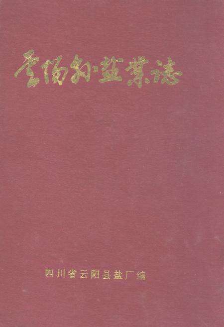《云阳县盐业志(公元前206-1988)》.pdf电子版_重庆市志缩略图