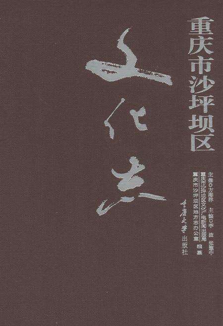 《重庆市沙坪坝区文化志》.pdf电子版_重庆市志缩略图