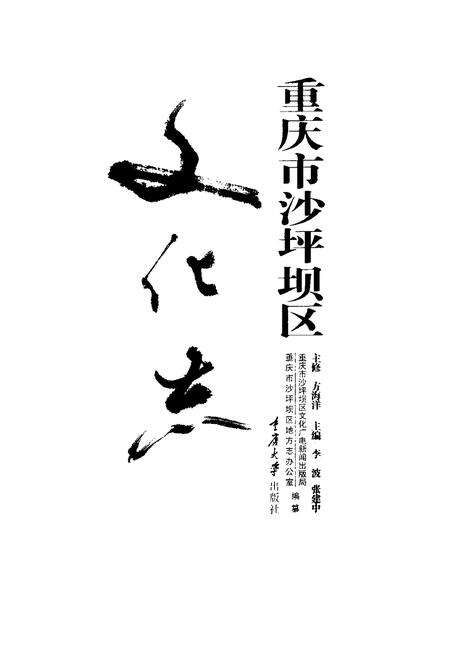 《重庆市沙坪坝区文化志》.pdf电子版_重庆市志预览图1