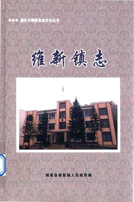 《维新镇志》.pdf电子版_重庆市志缩略图