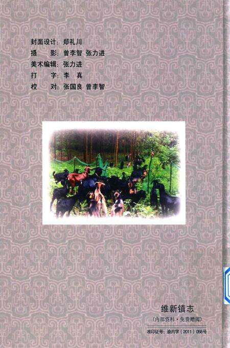 《维新镇志》.pdf电子版_重庆市志预览图2