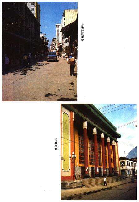 《彭水苗族土家族自治县概况》.pdf电子版_重庆市志预览图3