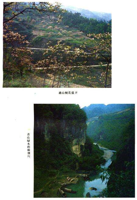 《彭水苗族土家族自治县概况》.pdf电子版_重庆市志预览图4